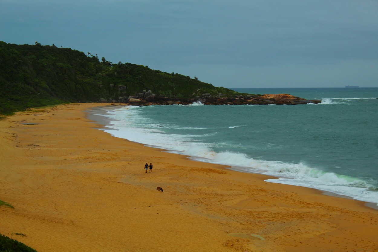 "`Caminata junto al Mar`" de Mario Pescader