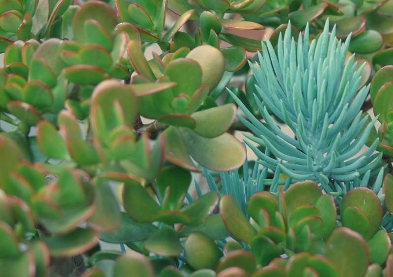 "A natureza sempre carrega as cores do esprito..." de Decio Badari