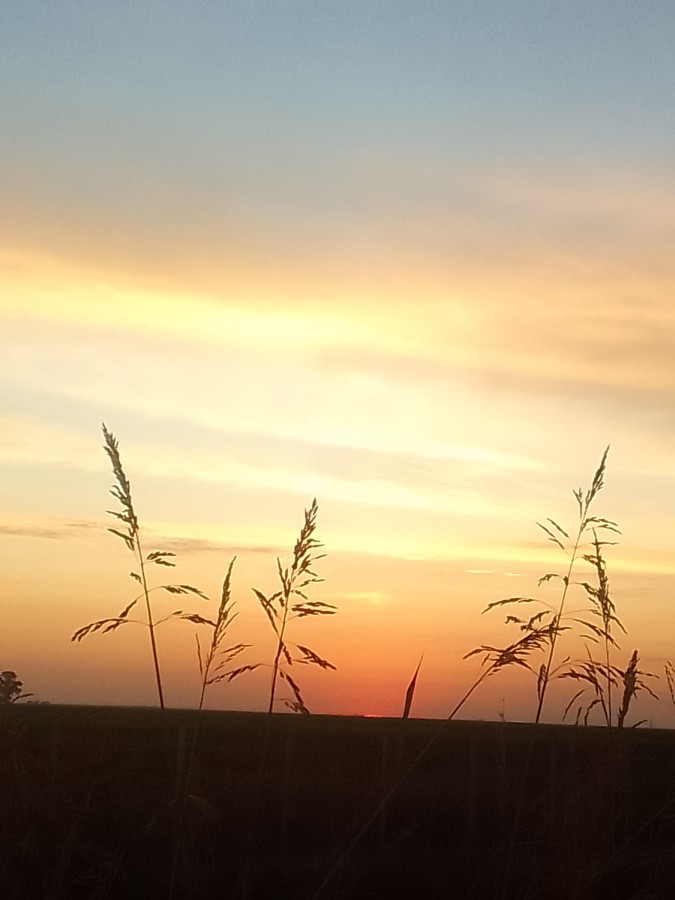 "Procesin de hoy... amanecer..." de Andrea Boccio