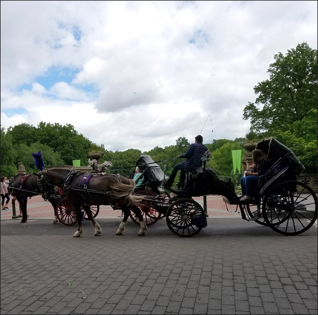 "Recorriendo el Central Park..." de Mara Ins Hempe