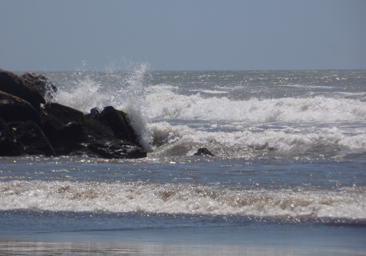 "` Rompiendo olas`" de Graciela Edith Flocco