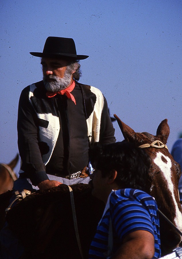 "El gaucho" de Americo Rosa Pombinho