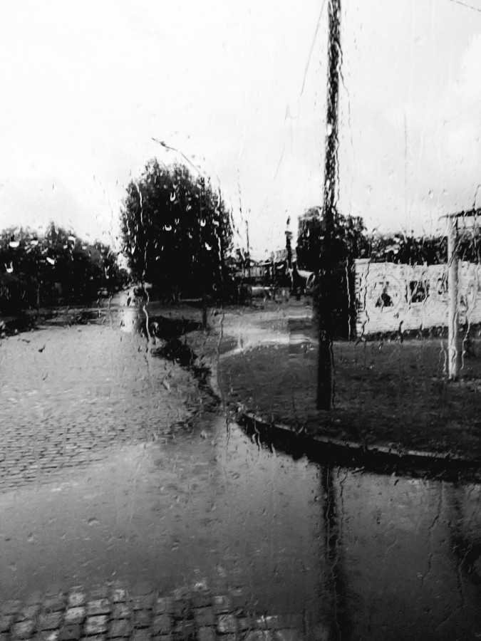 "Lluvia" de Tiziano Proverbio Gonzlez