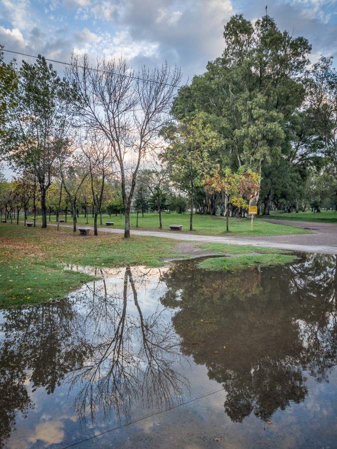 "Reflejos lluviosos" de Fernando Valdez Vazquez