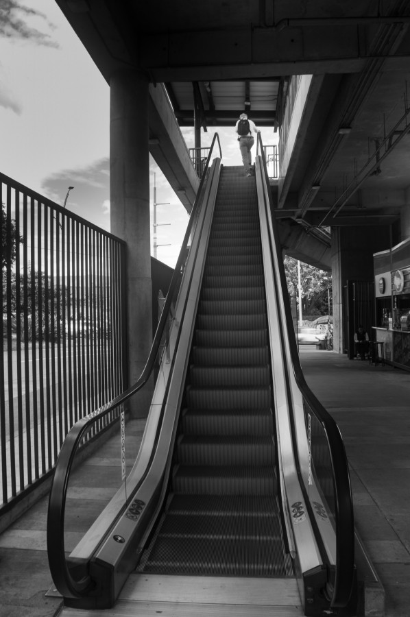 "Escaleras al cielo" de Luis Fernando Ochoa