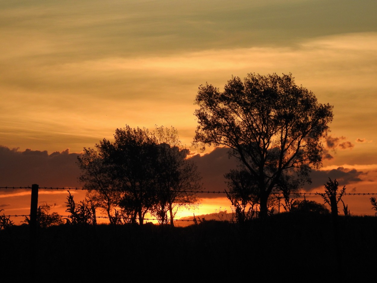 "Atardecer en Olavarria" de Marcelo Di Marco