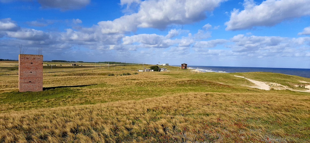 "Mar y pampa(Centinela del Mar)" de Juan Carlos Viegas