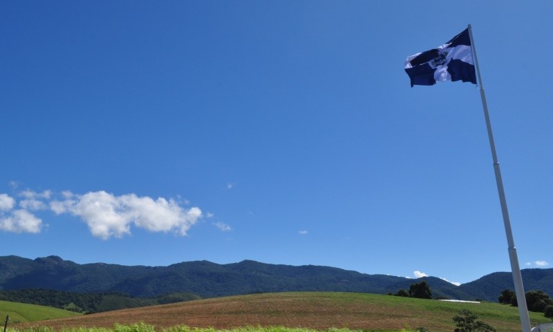 "` Joanpolis, onde as montanhas so azuis `...ler" de Decio Badari