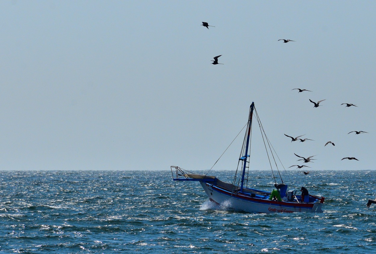 "Pesca con Fe" de Jos Luis Quiroga Becerra