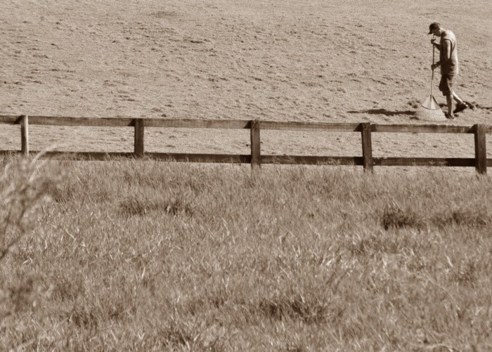 "Primeiro olhar da manh, a lida no campo......" de Decio Badari