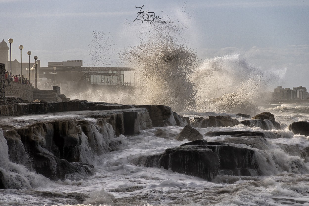 "Olas" de Mirta Zozula