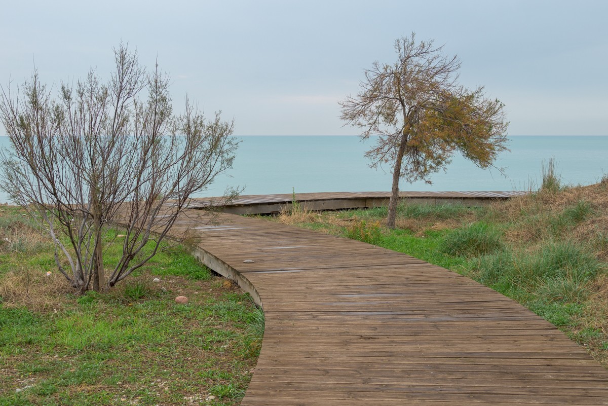 "Relax" de Abel Puche Alifa