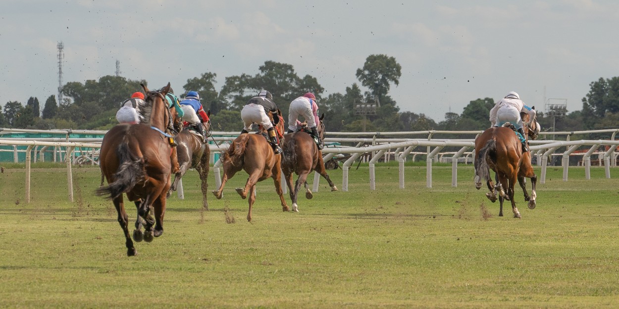 "Y el jockey?" de Carlos Gianoli