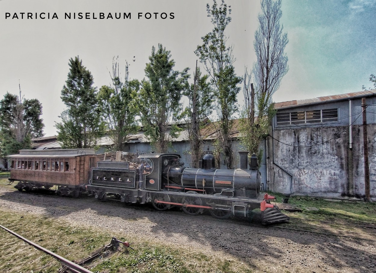 "Ferroclub Lynch" de Patricia Niselbaum