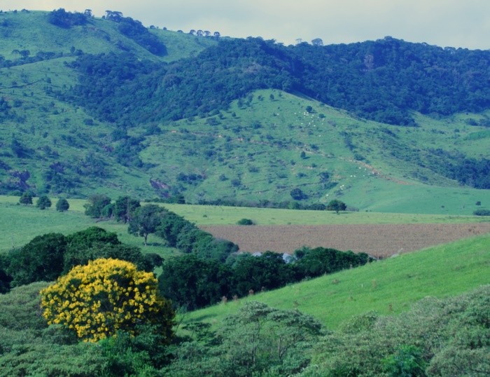 "Um olhar com planos e cores...leia" de Decio Badari