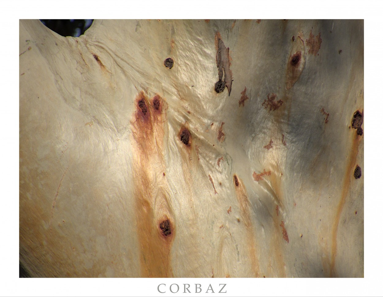 "Textura 4" de Alberto Corbaz