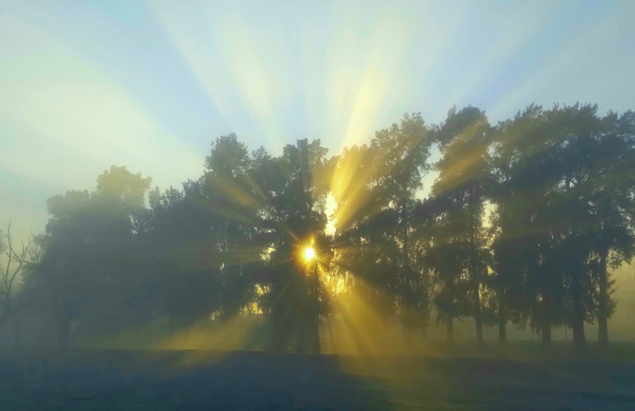 "Amanecer" de Americo Rosa Pombinho