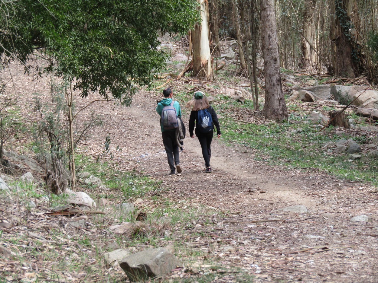 "Caminantes" de Miguel Angel Palermo