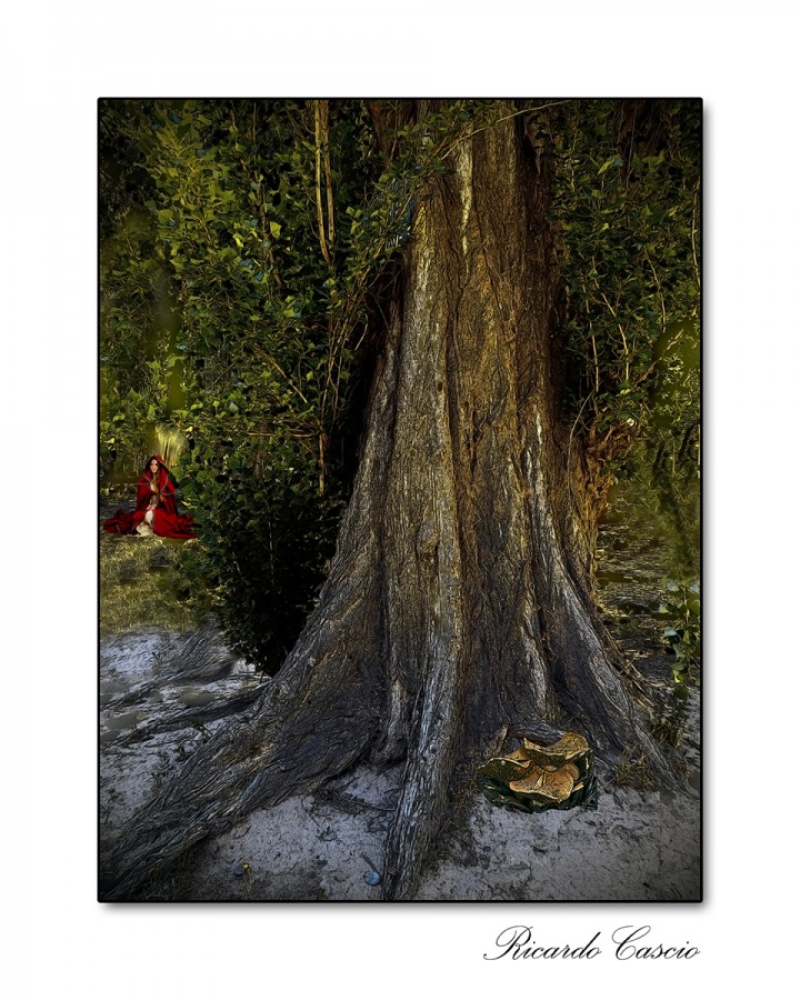 "En el bosque" de Ricardo Cascio