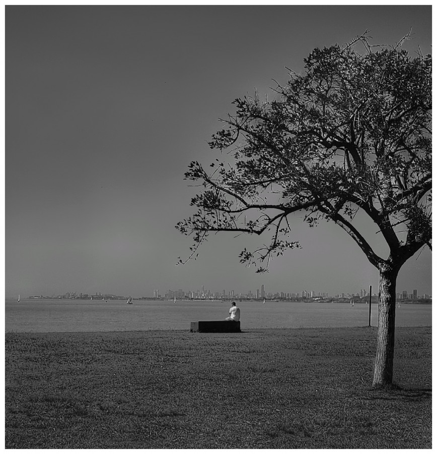 "Hombre mirando al sudeste" de Roberto Guillermo Hagemann
