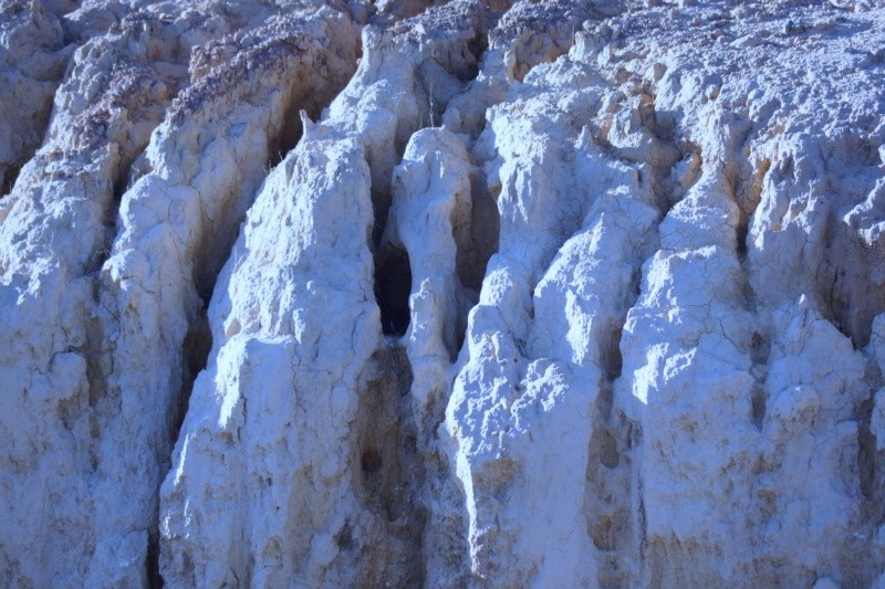 "As ` geleiras `da terra.......fv.ler" de Decio Badari