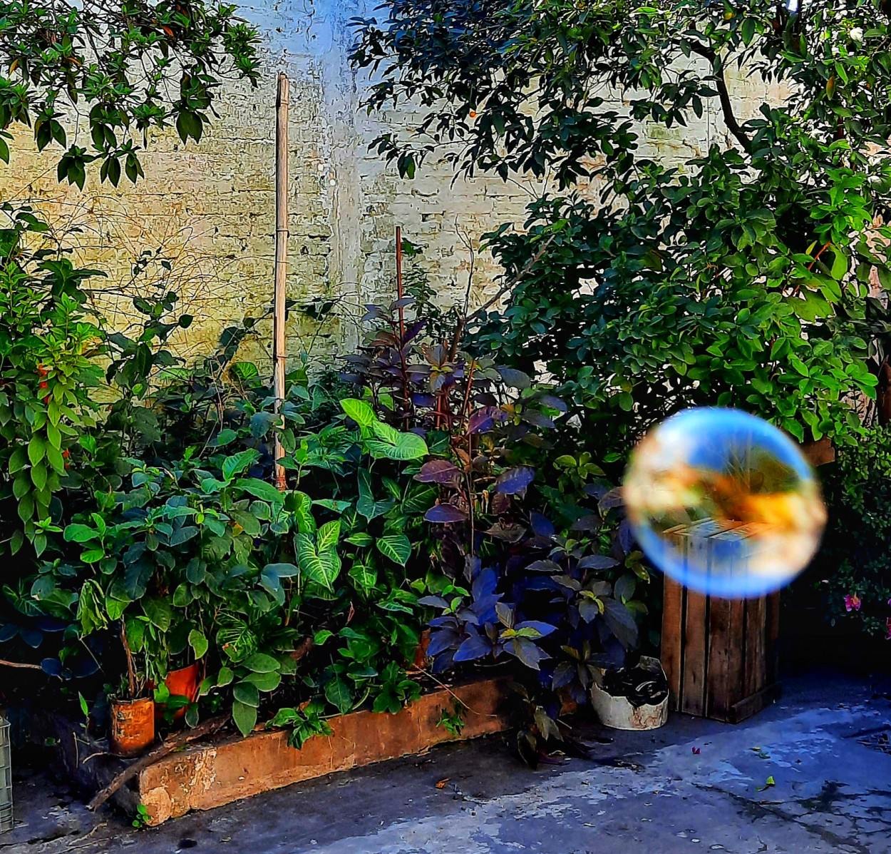 "Una burbuja" de Ana Piris