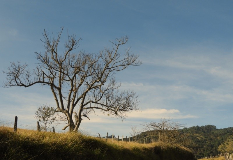 "Amanhecer no campo, um grande prazer...leia" de Decio Badari