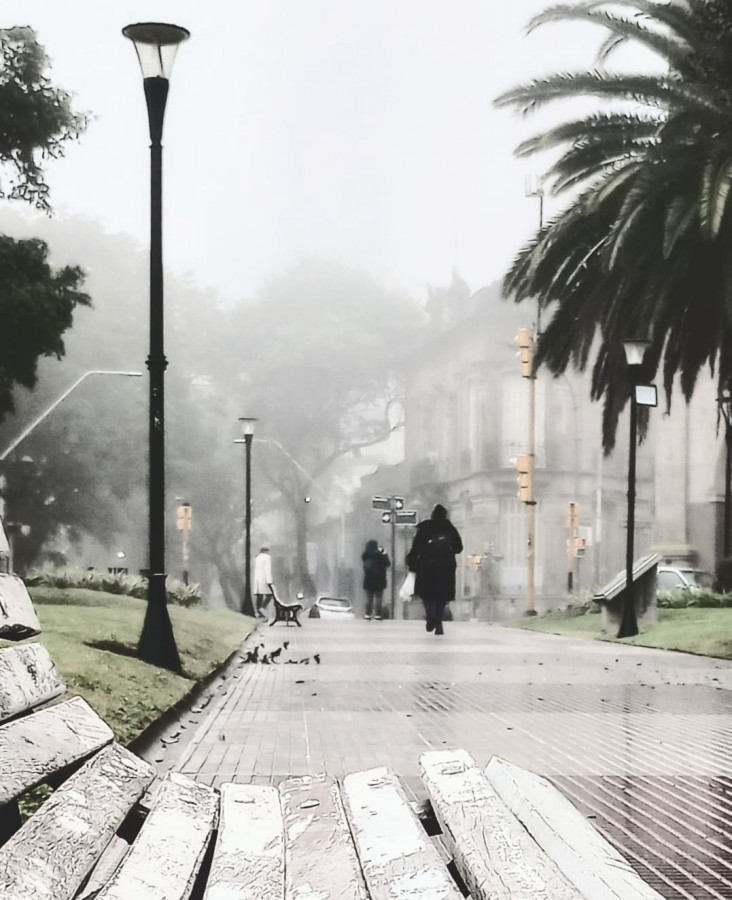 "La niebla cambia la ciudad" de Vernica Galeano