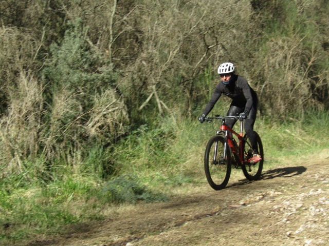 "Entrenando" de Miguel Angel Palermo