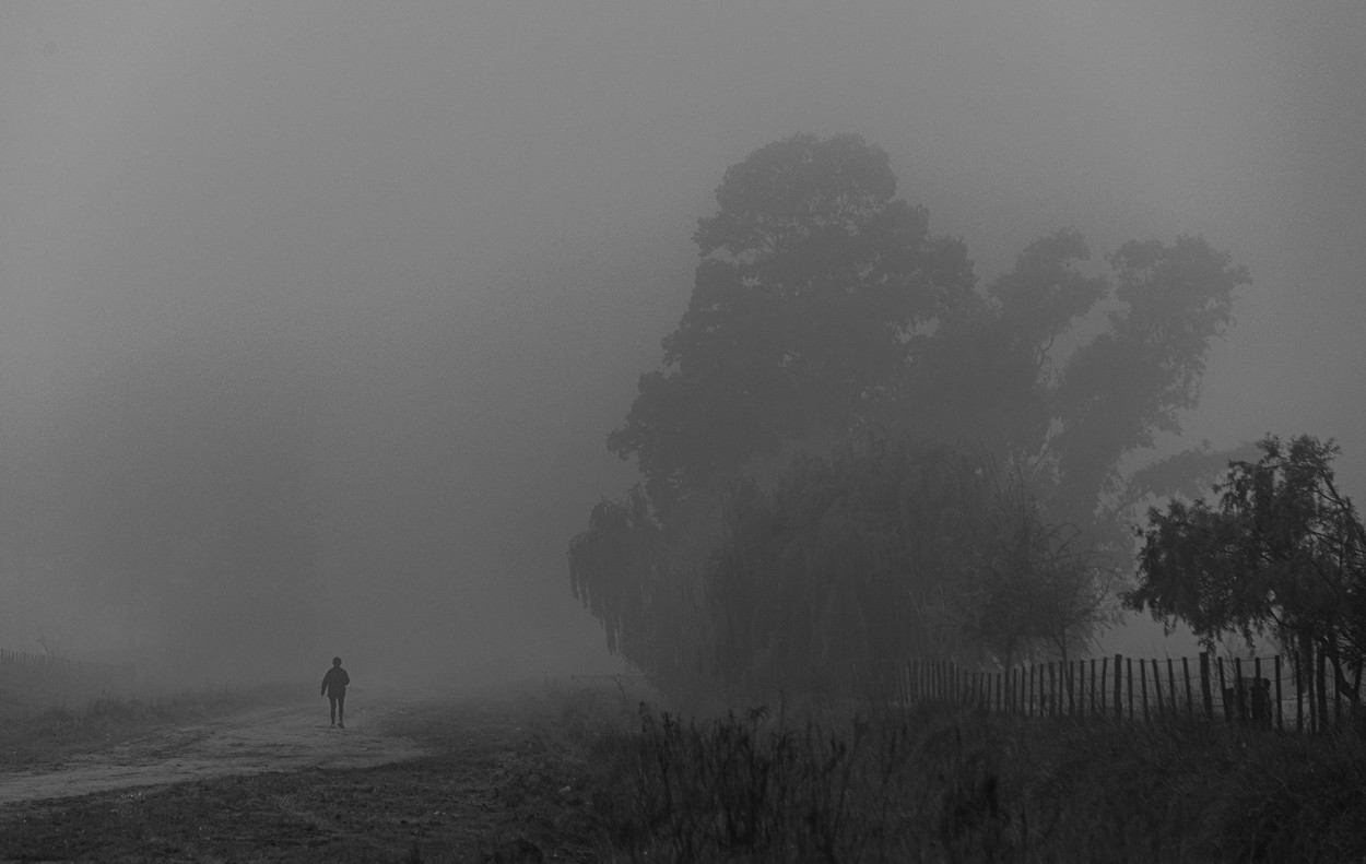 "En soledad" de Fernando Valdez Vazquez