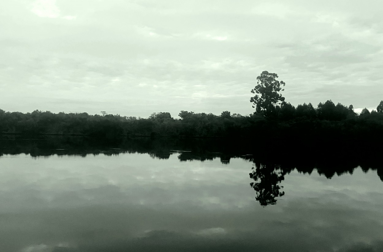 "Reflejo" de Tiziano Proverbio Gonzlez