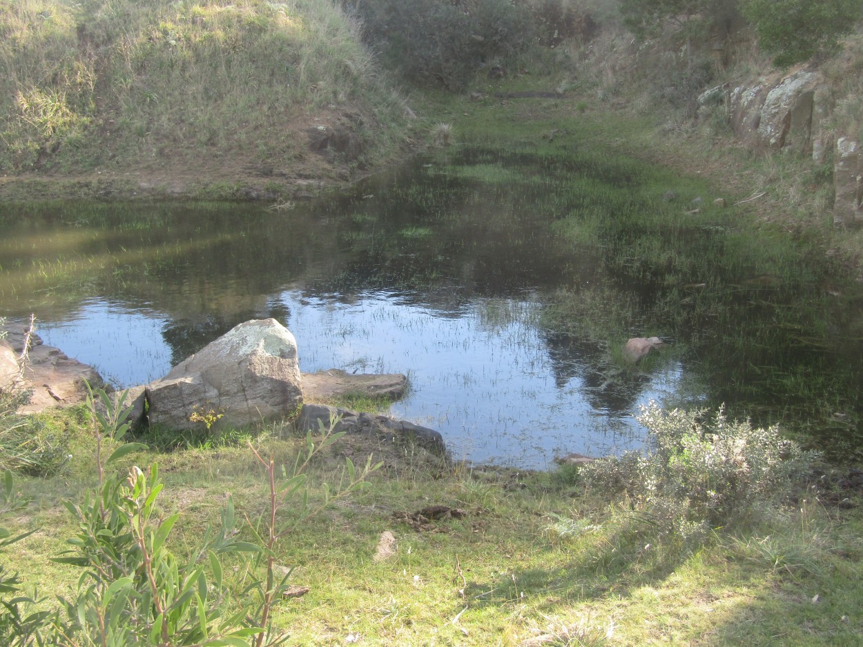 "El laguito" de Miguel Angel Palermo