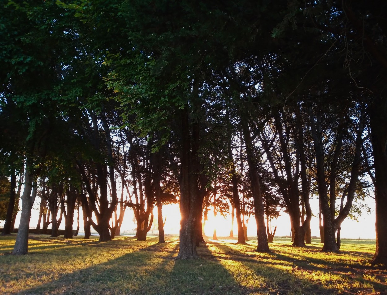 "Atardecer" de Maria Ines Ferrando