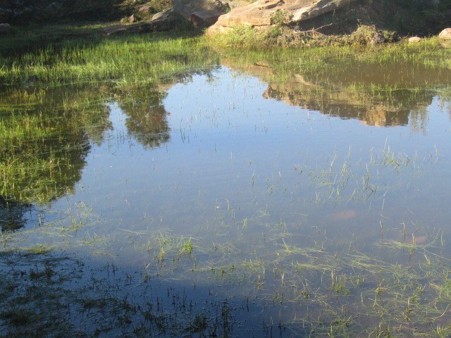 "Aguita" de Miguel Angel Palermo