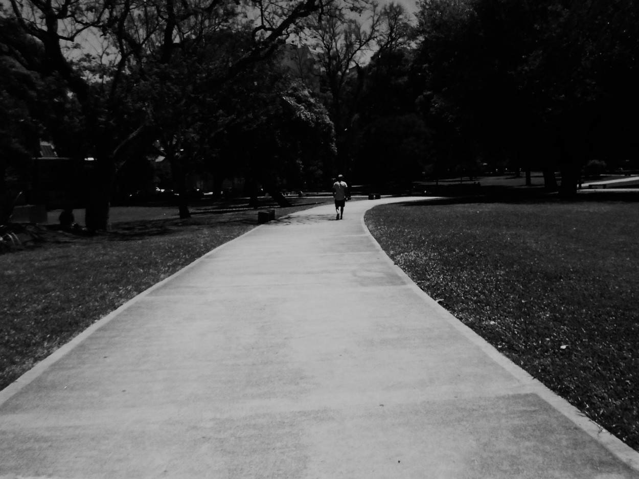 "Siguiendo el camino" de Americo Rosa Pombinho