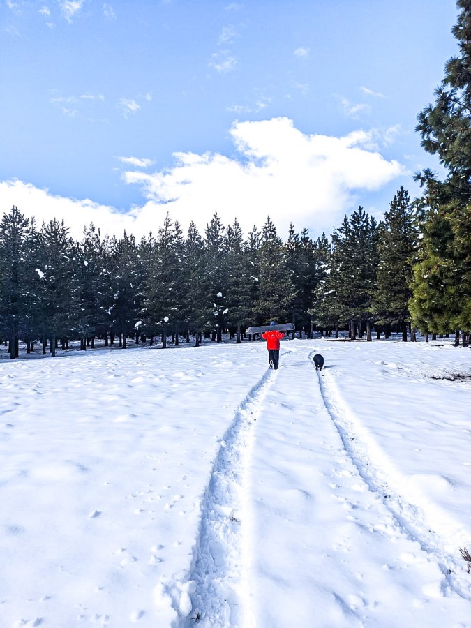 "El snowborder y su perra.." de Javier Cattaneo