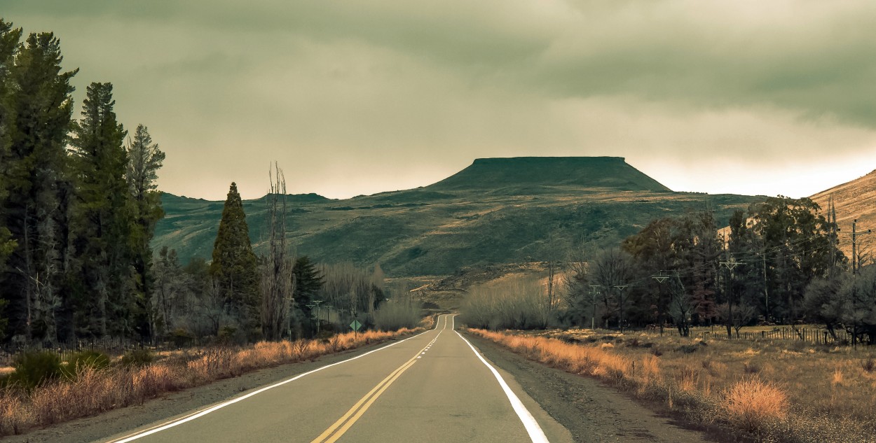 "la rinconada - j andes - ruta 40" de Mario Edgardo Avila