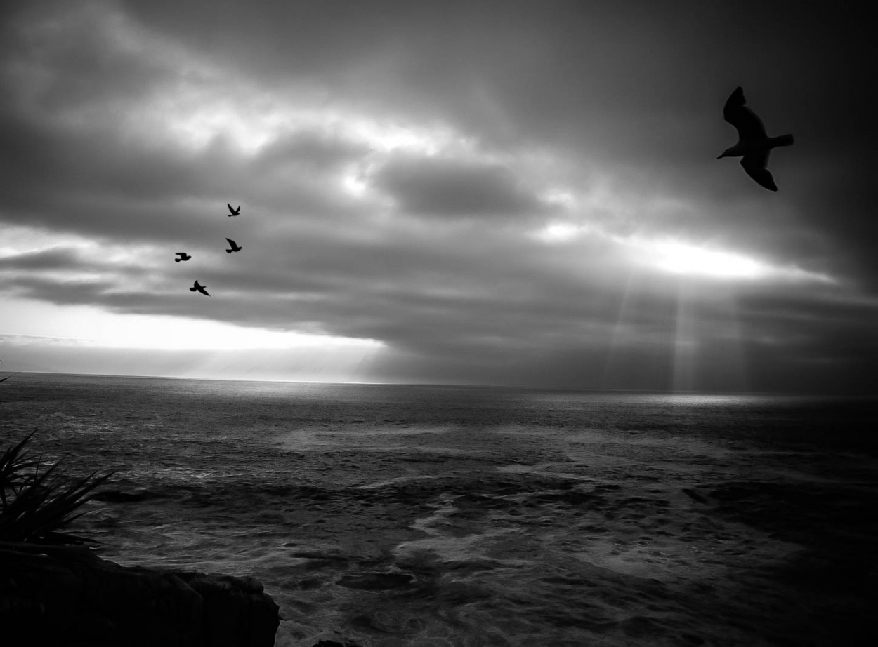 "When the storm come..." de Carlos A. Sandoval