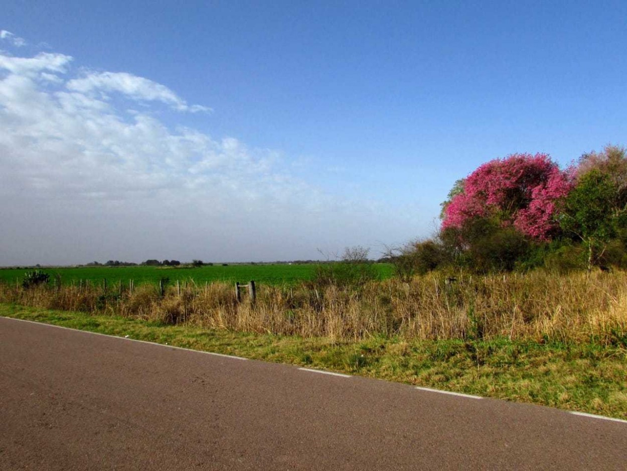 "Agosto en Chaco rural" de Juana Ins Ruiz Diaz