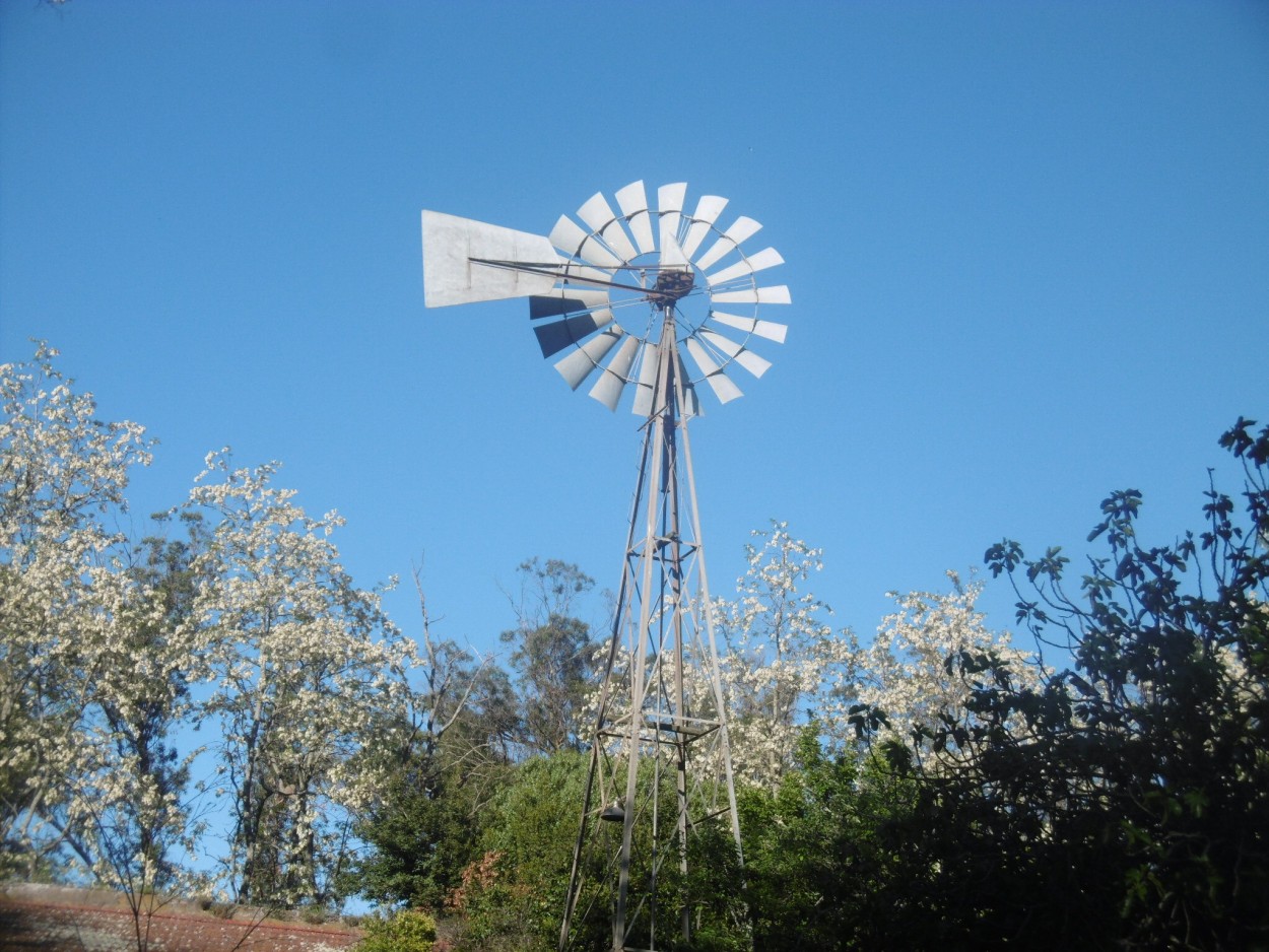 "El molino " de Miguel Angel Palermo