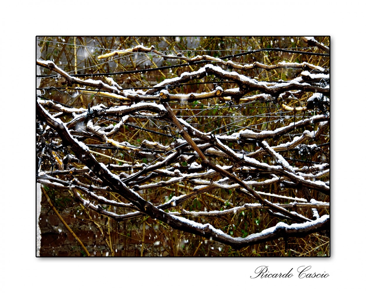 "Abstracto con nieve" de Ricardo Cascio