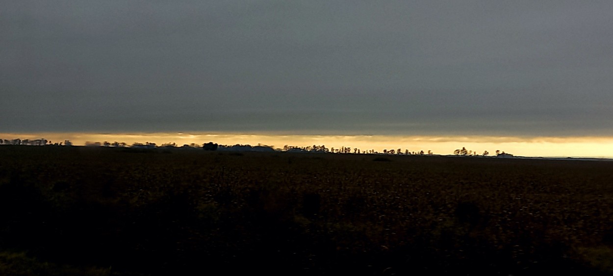 "Entre cielo y tierra" de Patricia Sallete