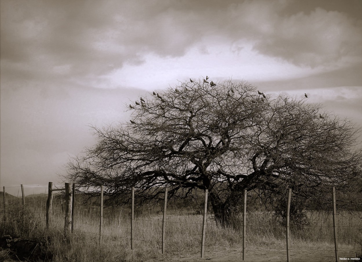 "Sin Ttulo" de Hector Mendez