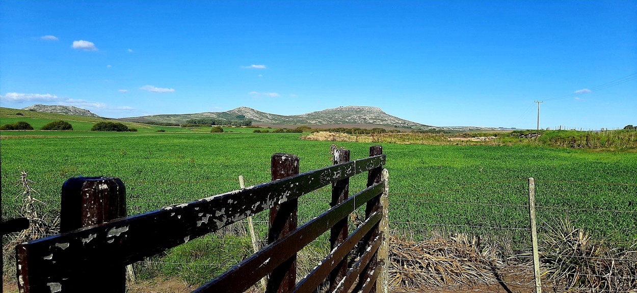 "Camino a Puerta del Diablo-Loberia" de Juan Carlos Viegas