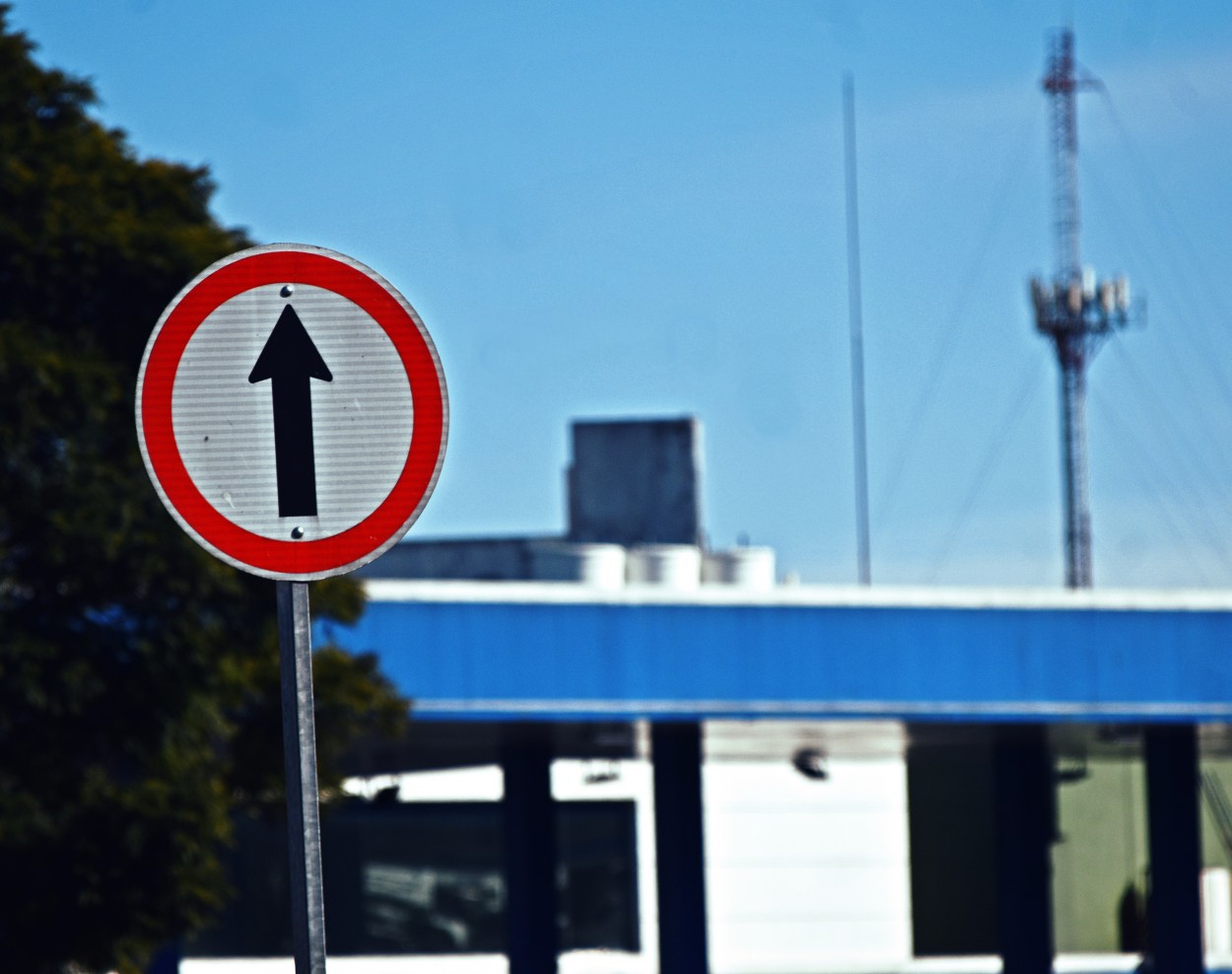 "Autos voladores." de Alejandro Silveira