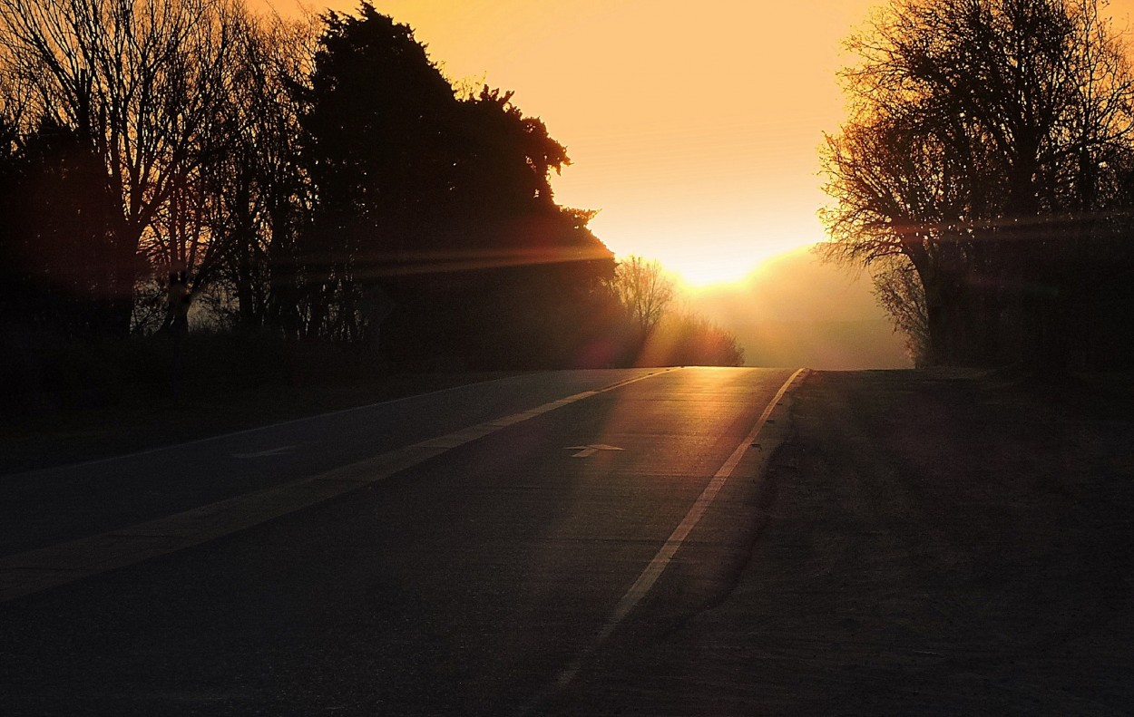 "Atardecer en la ruta" de Silvia Olliari