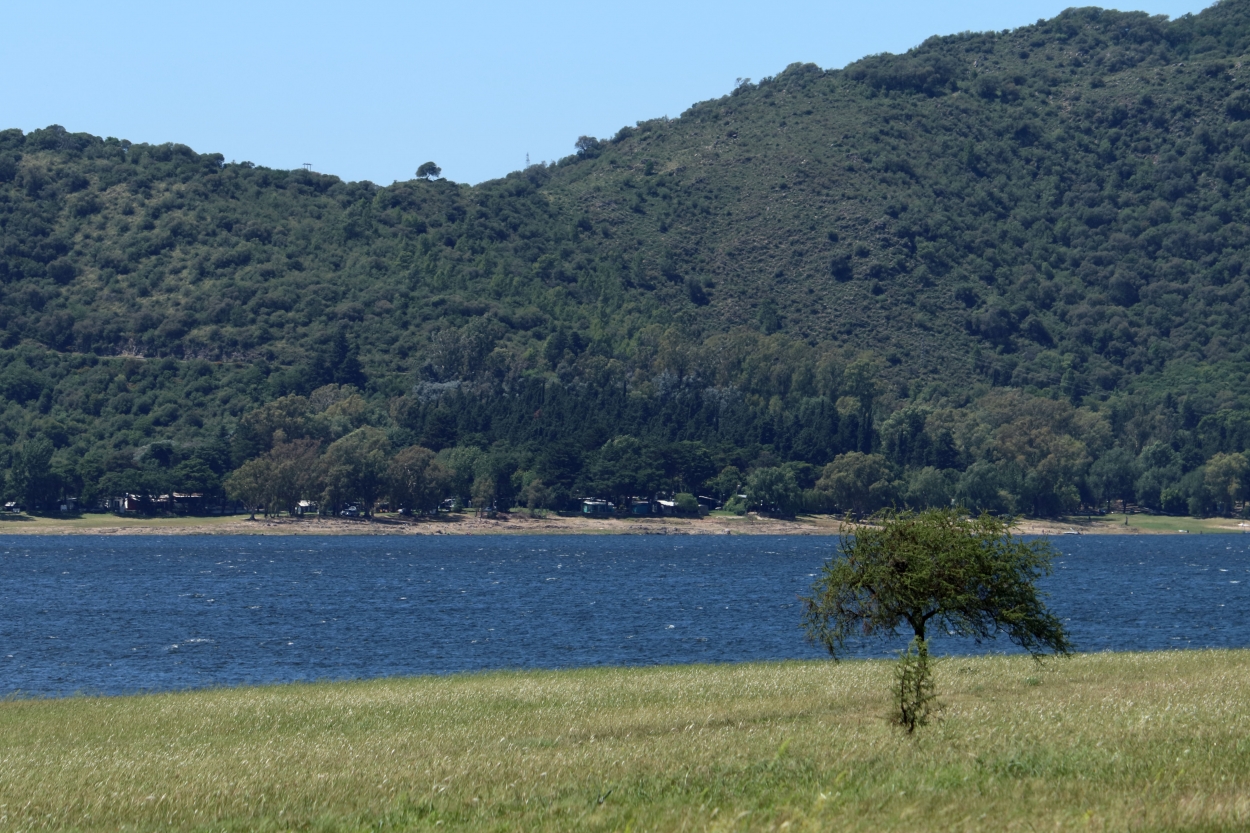 "Junto al lago III" de Natalia Harosteguy