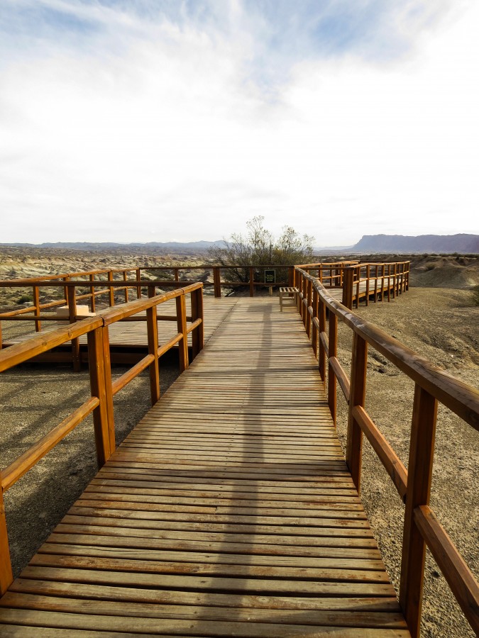 "`Seguir por el sendero`" de Iris Elizabeth Scotto