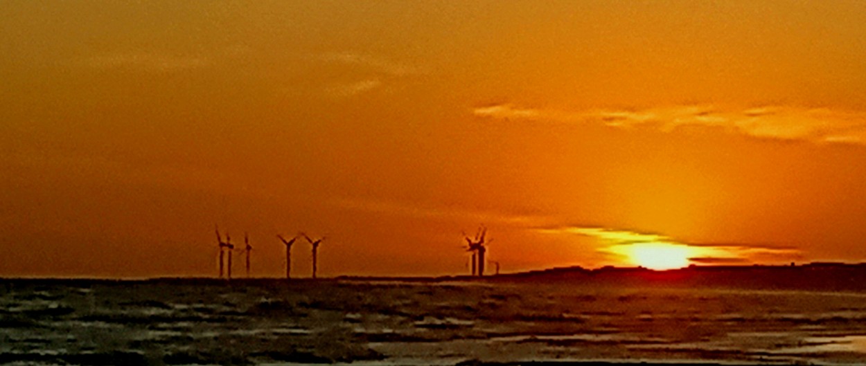 "Gigantes de Playa" de Patricia Sallete