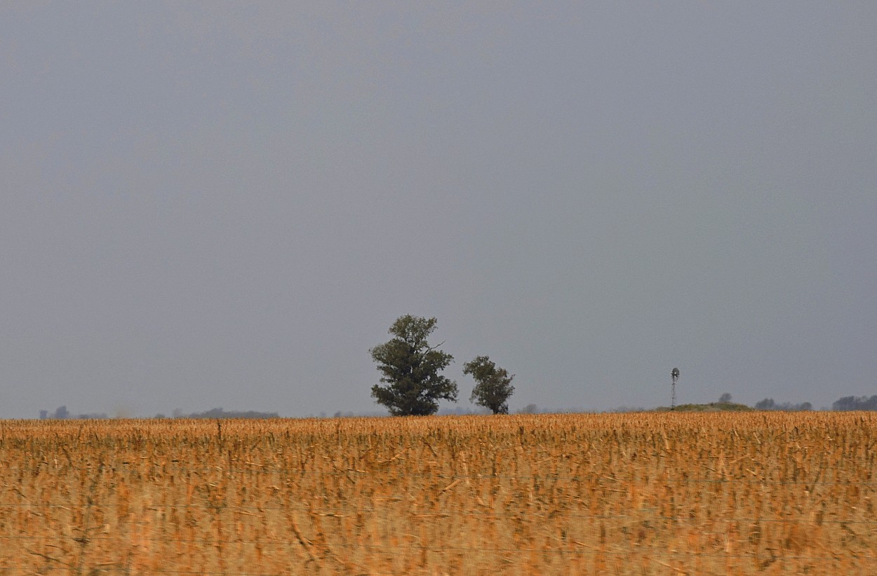 "En la ruta" de Silvia Olliari